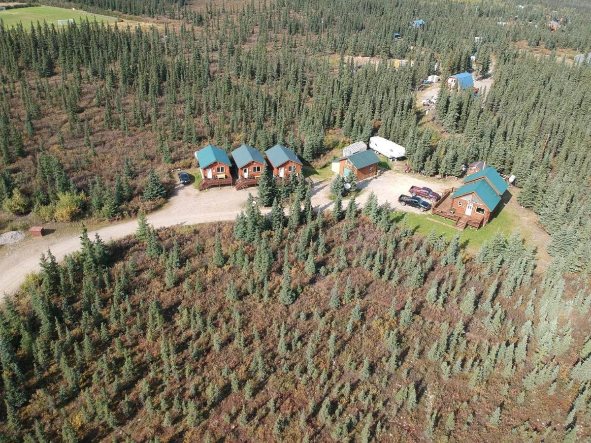 Denali'S Alaskan Spruce Cabins Healy Exterior foto