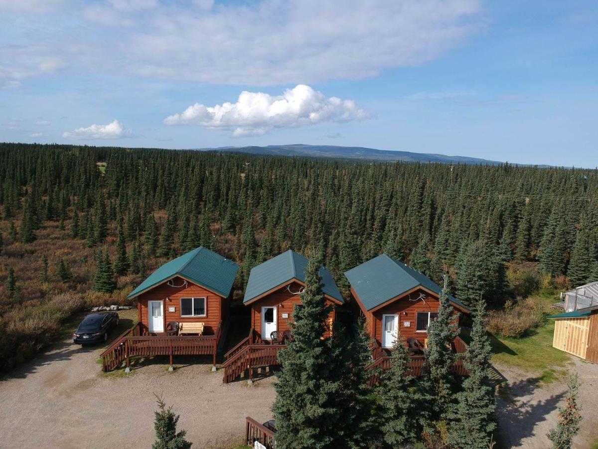 Denali'S Alaskan Spruce Cabins Healy Exterior foto