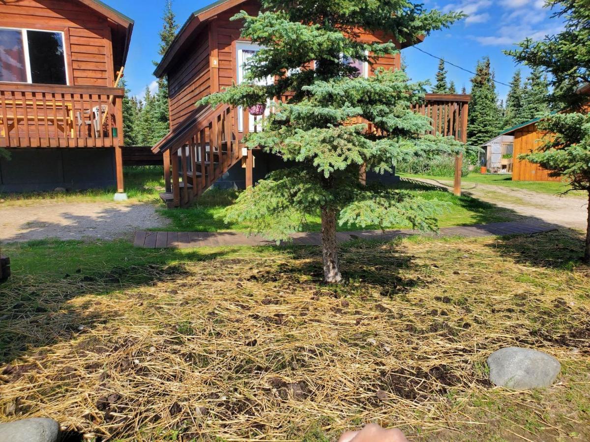 Denali'S Alaskan Spruce Cabins Healy Exterior foto