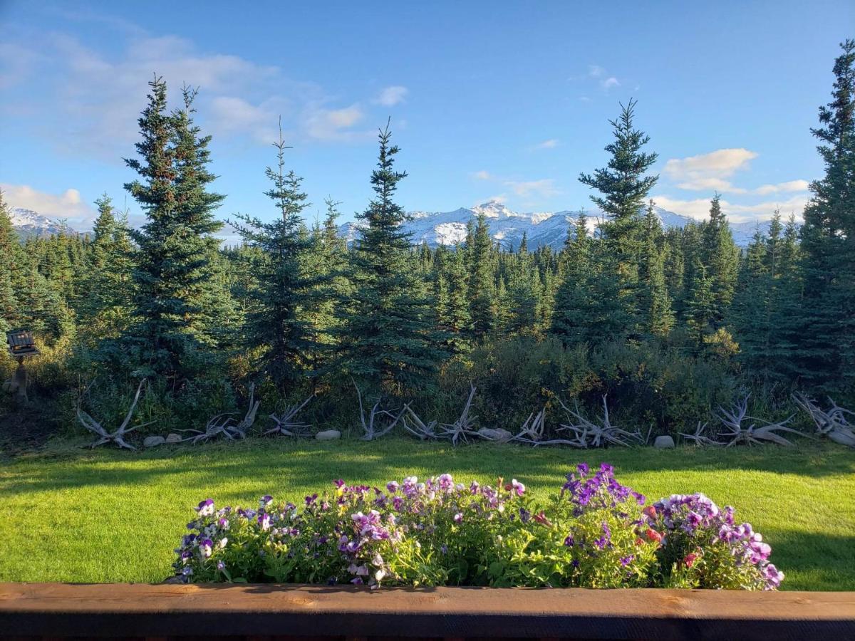 Denali'S Alaskan Spruce Cabins Healy Exterior foto