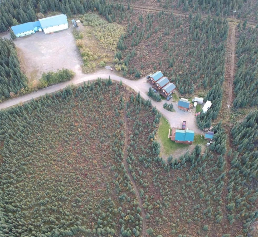 Denali'S Alaskan Spruce Cabins Healy Exterior foto