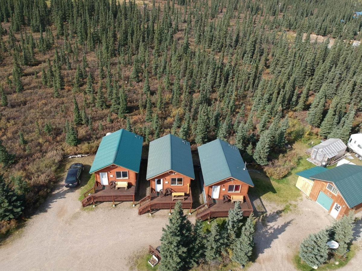 Denali'S Alaskan Spruce Cabins Healy Exterior foto