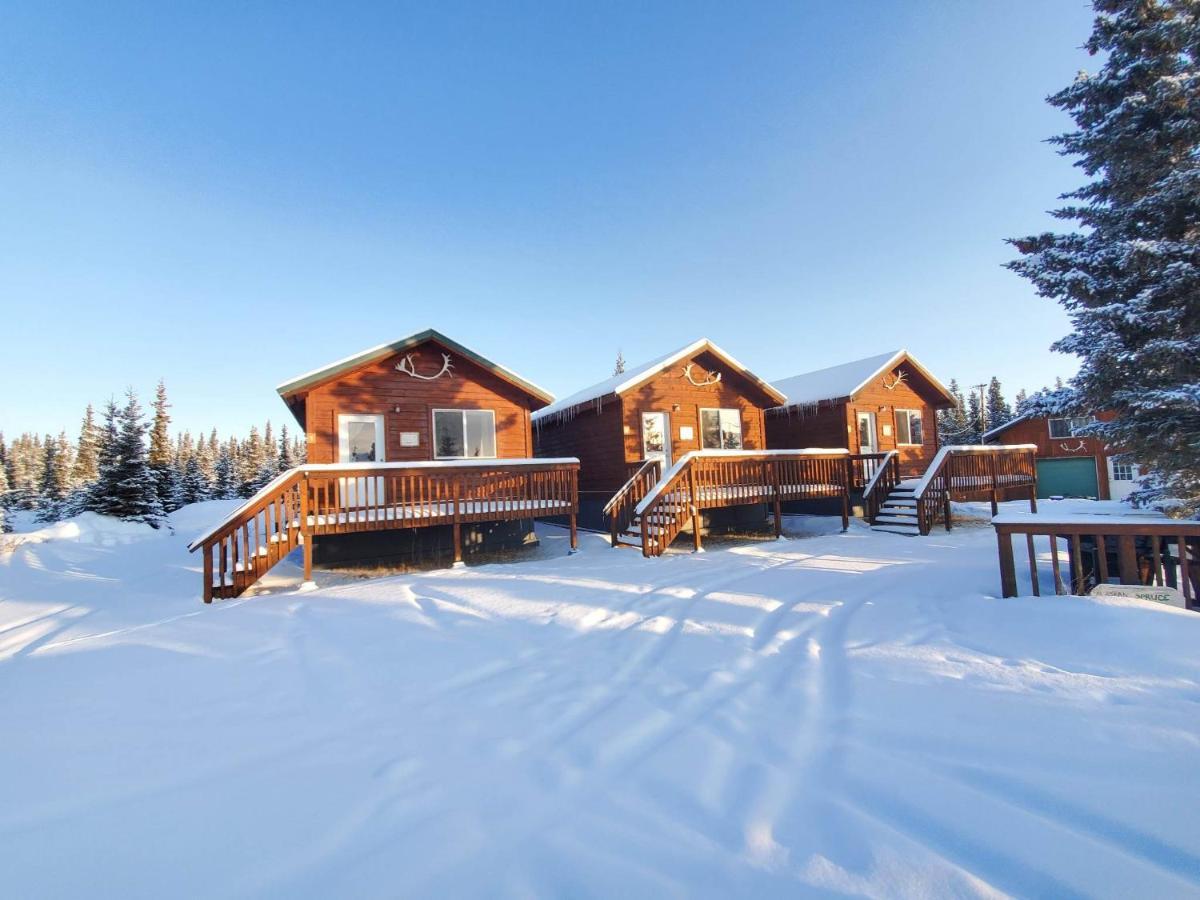 Denali'S Alaskan Spruce Cabins Healy Exterior foto