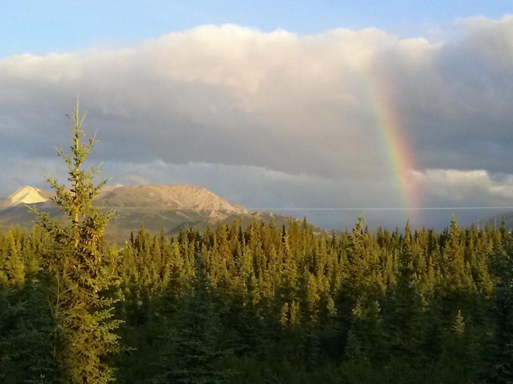 Denali'S Alaskan Spruce Cabins Healy Exterior foto